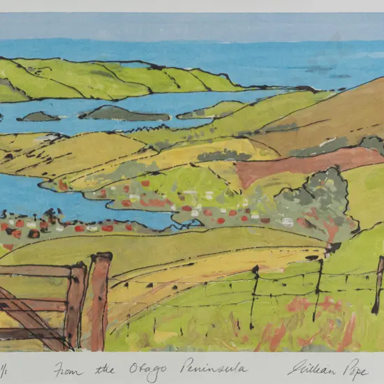 Gillian Pope -- unframed mono screenprint "From the Otago Peninsula" ed. 1/1 H-230 W-275