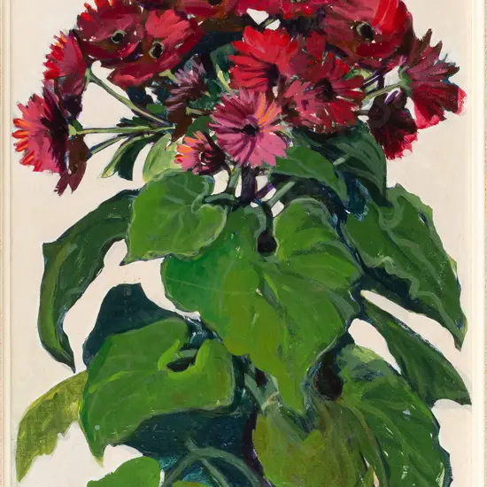 Shona McFarlane -- framed oil on board, "Cinerarias" H-325 W-225