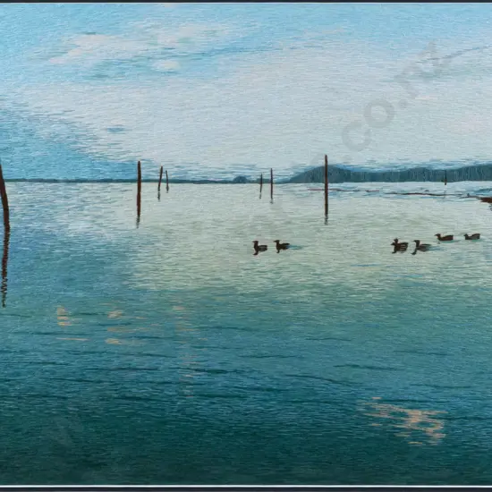 Chan Thien My -- framed Vietnamese embroidery, coastal scene with waterfowl H-390 W-580