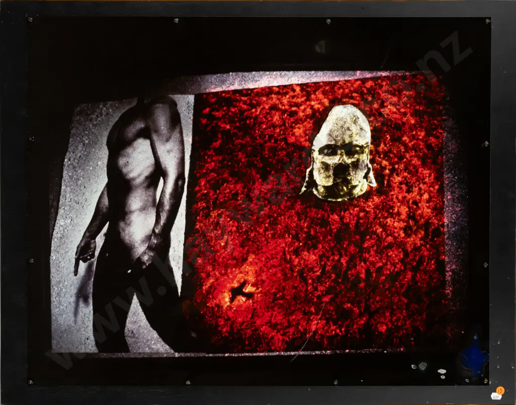 Di Ffrench - cibachrome photograph on board  H615 W780 (some markings) Image 1++