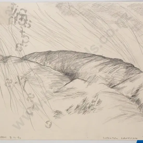 Cilla McQueen 1980 -- unframed pencil on paper "Wakatipu Landscape VIII" H-230 W-300