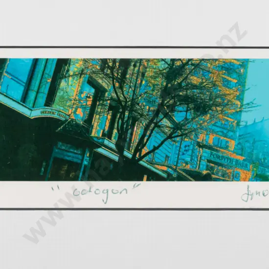 Justin Morshuis 2007 -- framed photograph "Octagon" H-70 W-185 [some small dints & scratches to frame]