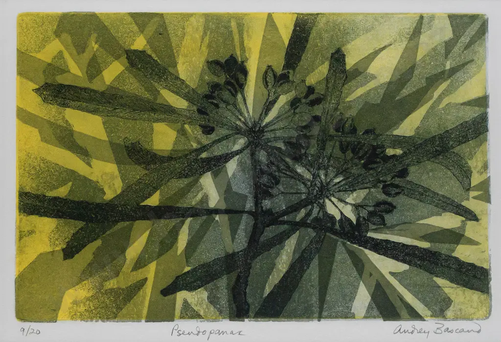 Audrey Bascand -- framed etching & aquatint on paper "Pseudopanax" ed. 9/20 H-190 W-275 Image 1++