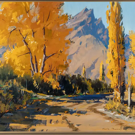 Mark Thomas 1980 -- framed oil on board "Remarkables" H-290 W-335