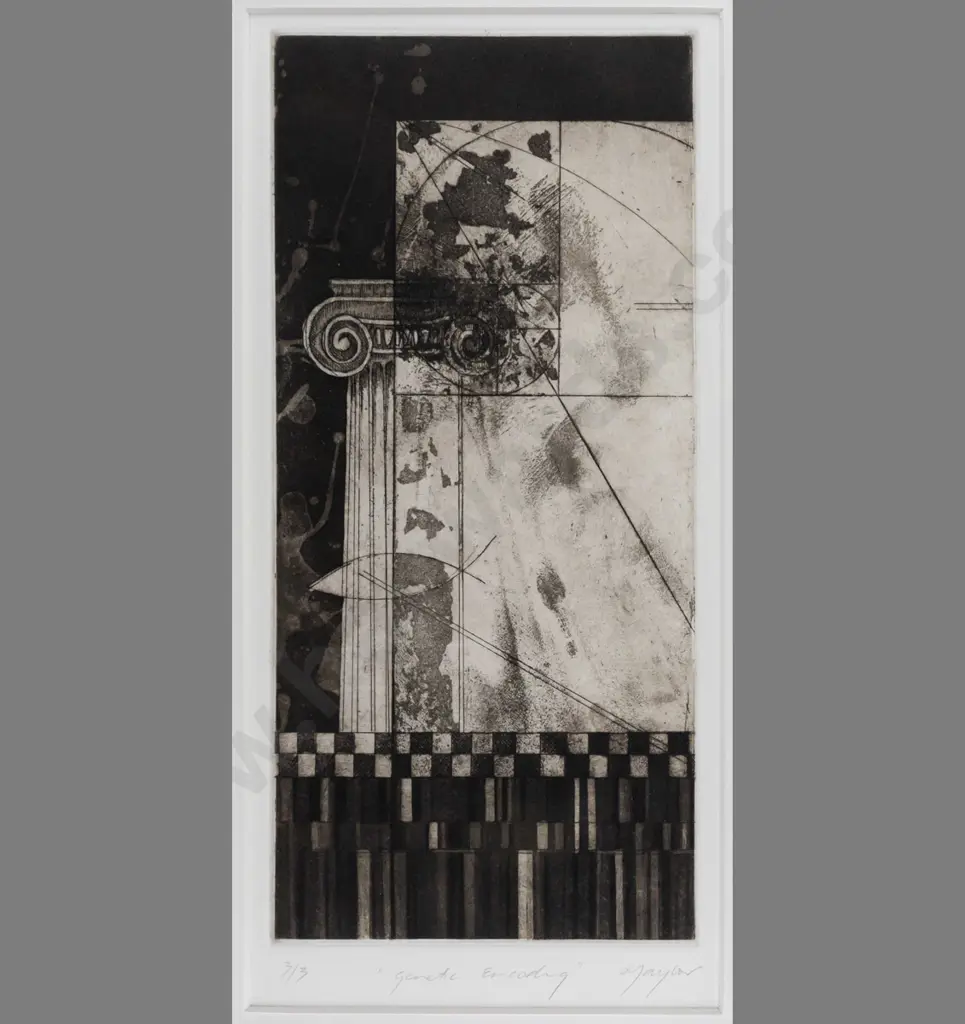 Lynn Taylor -- framed etching & aquatint on paper "Genetic Encoding" ed. 3/3 H-295 W-140 Image 1++