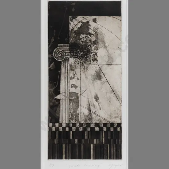 Lynn Taylor -- framed etching & aquatint on paper "Genetic Encoding" ed. 3/3 H-295 W-140