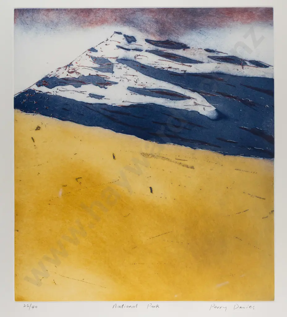 Perry Davies -- framed etching and aquatint on paper "National Park" ed. 26/40 H-570 W-505 [some detritus between glass Image 1++