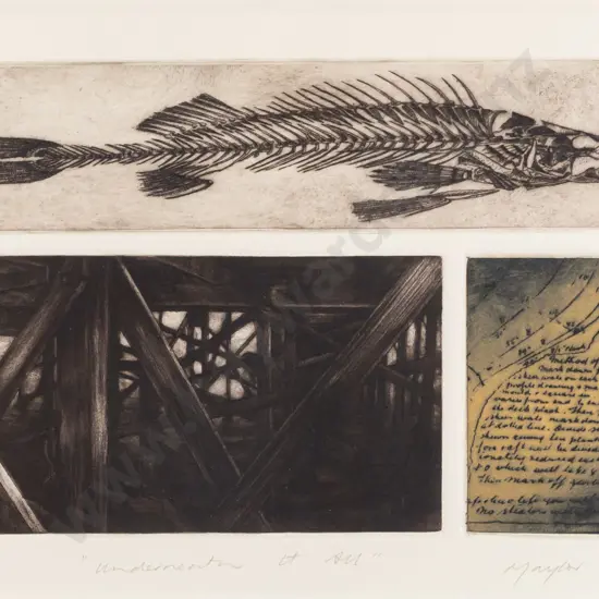 Lynn Taylor 1998 -- framed etching & aquatint on paper "Underneath It All" ed. 5/5 H-215 W-315