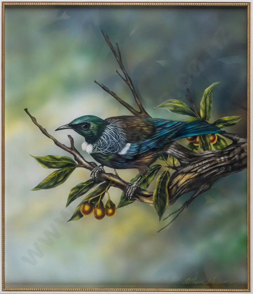 Allan Hope 1995 -- framed gouache on paper "New Zealand Tui" H-380 W-330 Image 1++