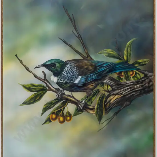Allan Hope 1995 -- framed gouache on paper "New Zealand Tui" H-380 W-330