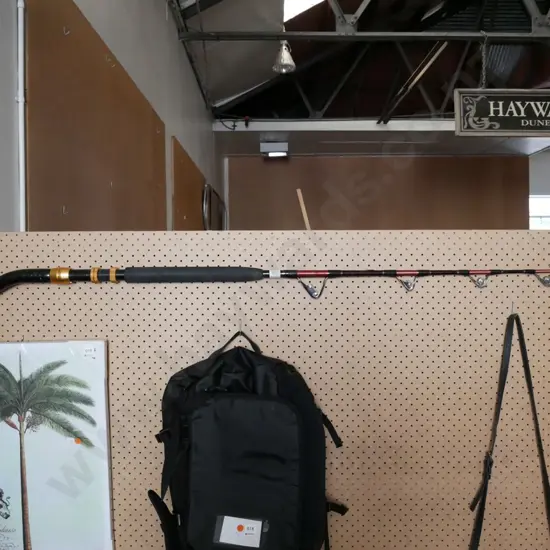 Kilwell Fishing Rod (37kg)