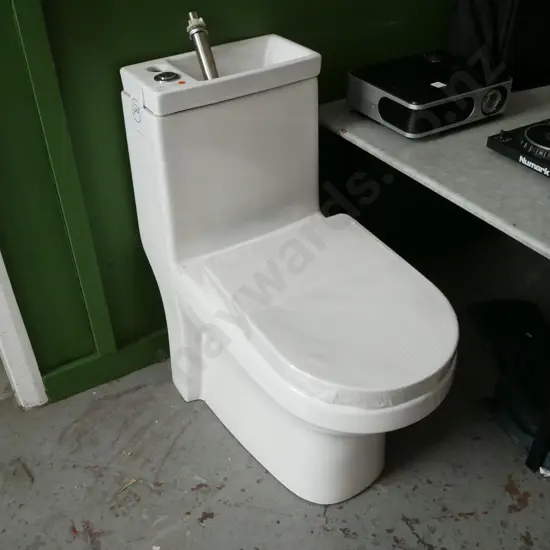 2 in 1 Toilet Basin Combo