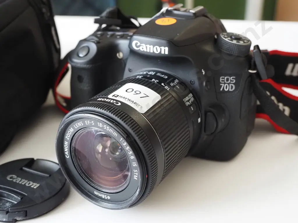 Canon Camera in bag Image 1++