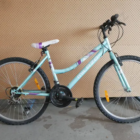 Milaso, teal & purple ladies bike