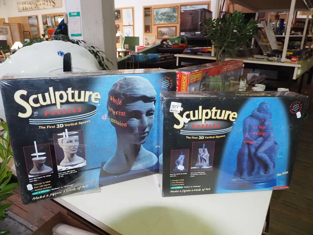 2x boxed sculptural 3D vertical puzzles Image 1++