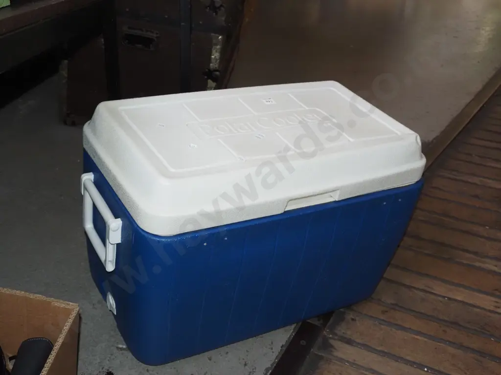 Polar Cooler chilly bin, ice packs Image 1++