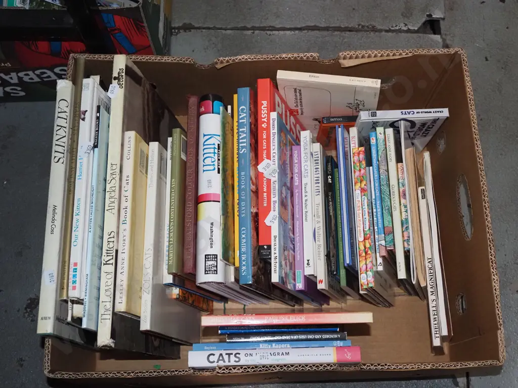box; cat related books Image 1++