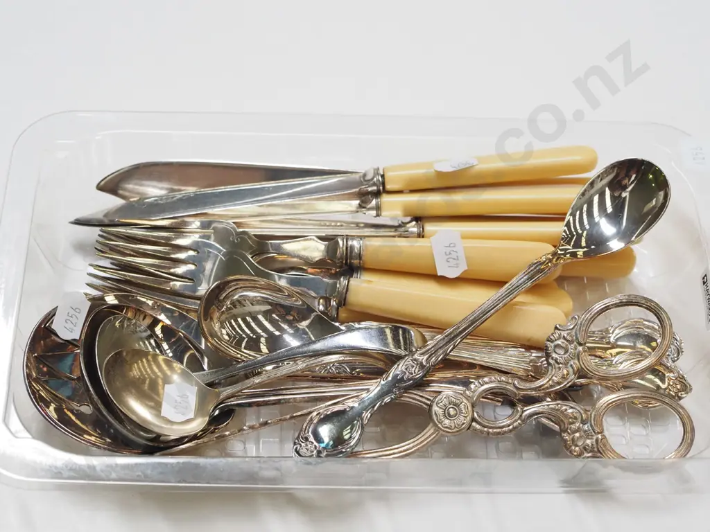 tray of bone handled fish knives and forks etc Image 1++