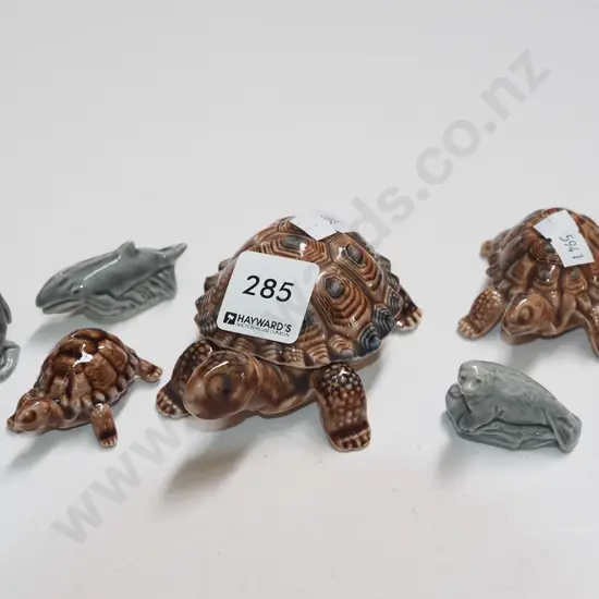 Wade turtles, penguins, whale, seal
