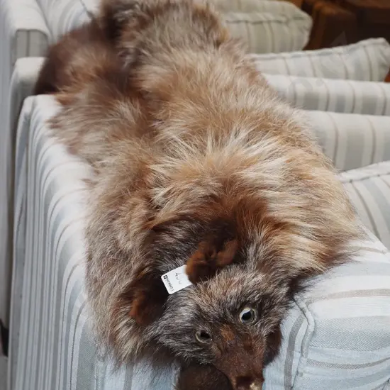 fox fur stole