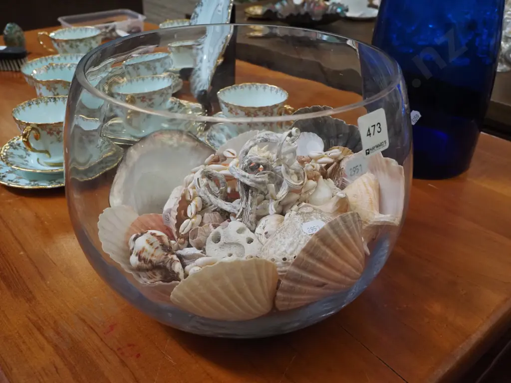 glass bowl, seashells Image 1++