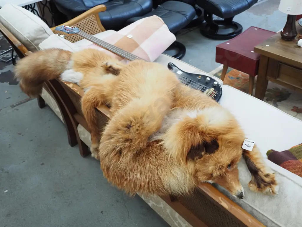 red fox fur stole Image 1++