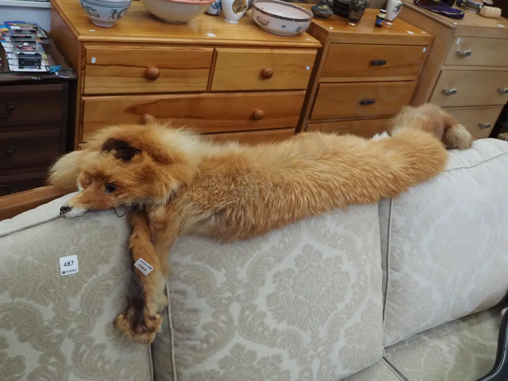 red fox fur stole Image 1++