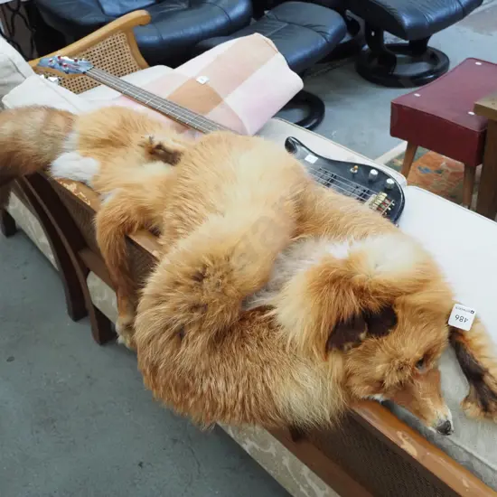 red fox fur stole