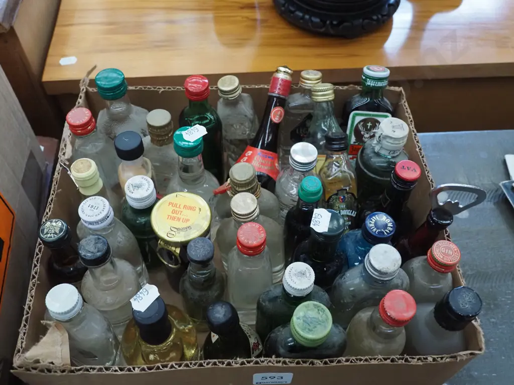 box of spirit miniatures Image 1++