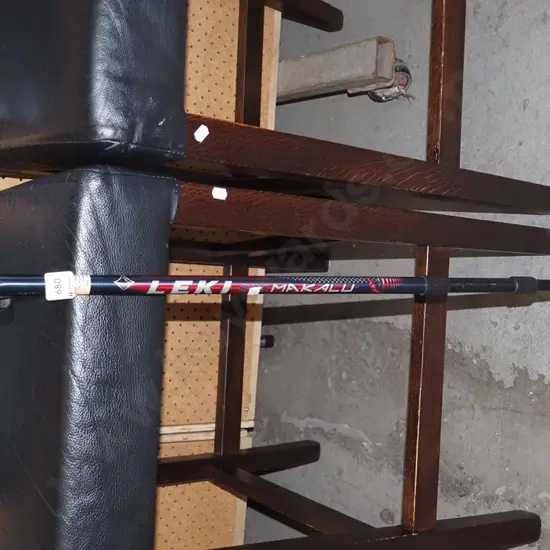 Leki tramping stick