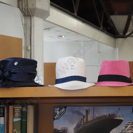 3x ladies hats