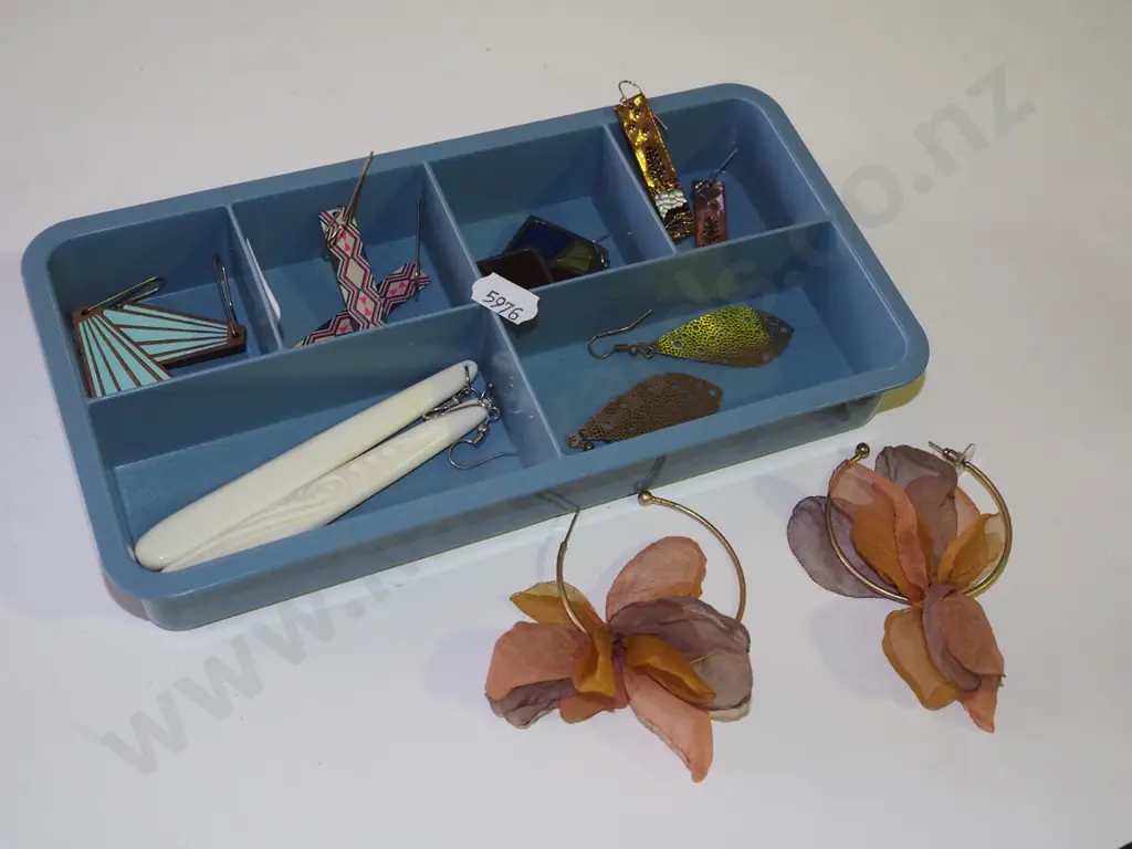 organiser of earrings Image 1++