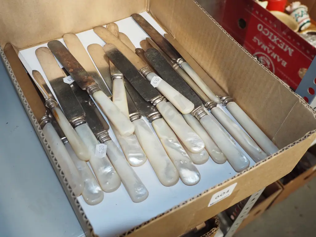 box; mother pearl handled knives Image 1++