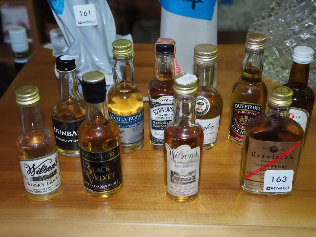 10x whisky spirit miniatures Image 1++