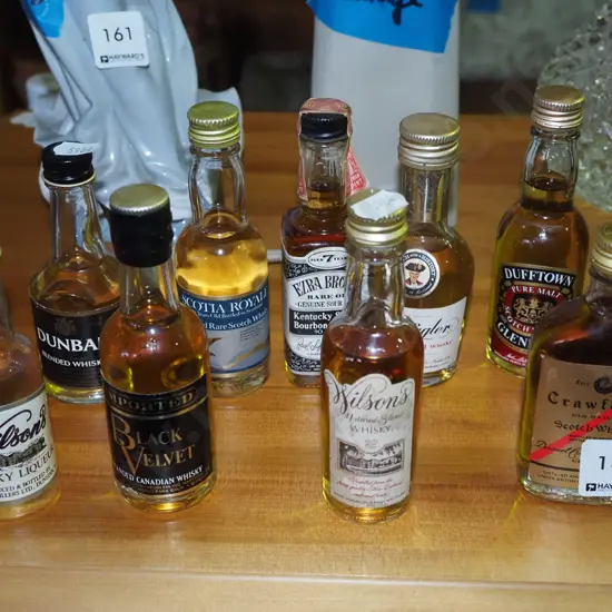 10x whisky spirit miniatures