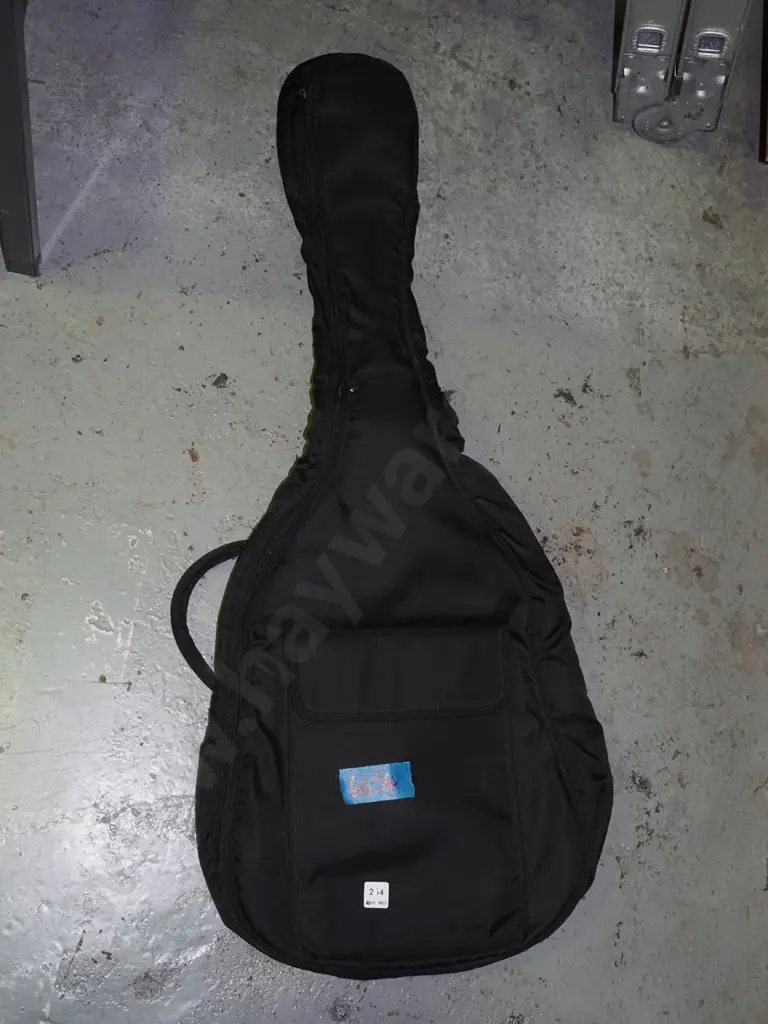 soft guitar case Image 1++
