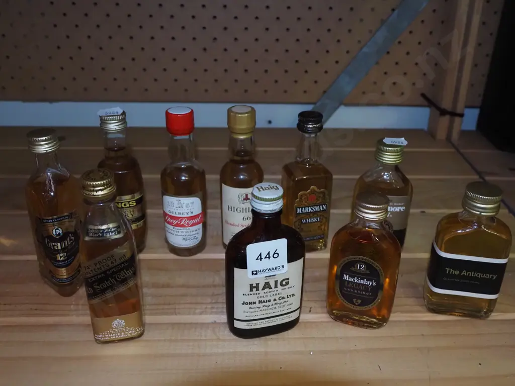 10x whisky spirit miniatures Image 1++