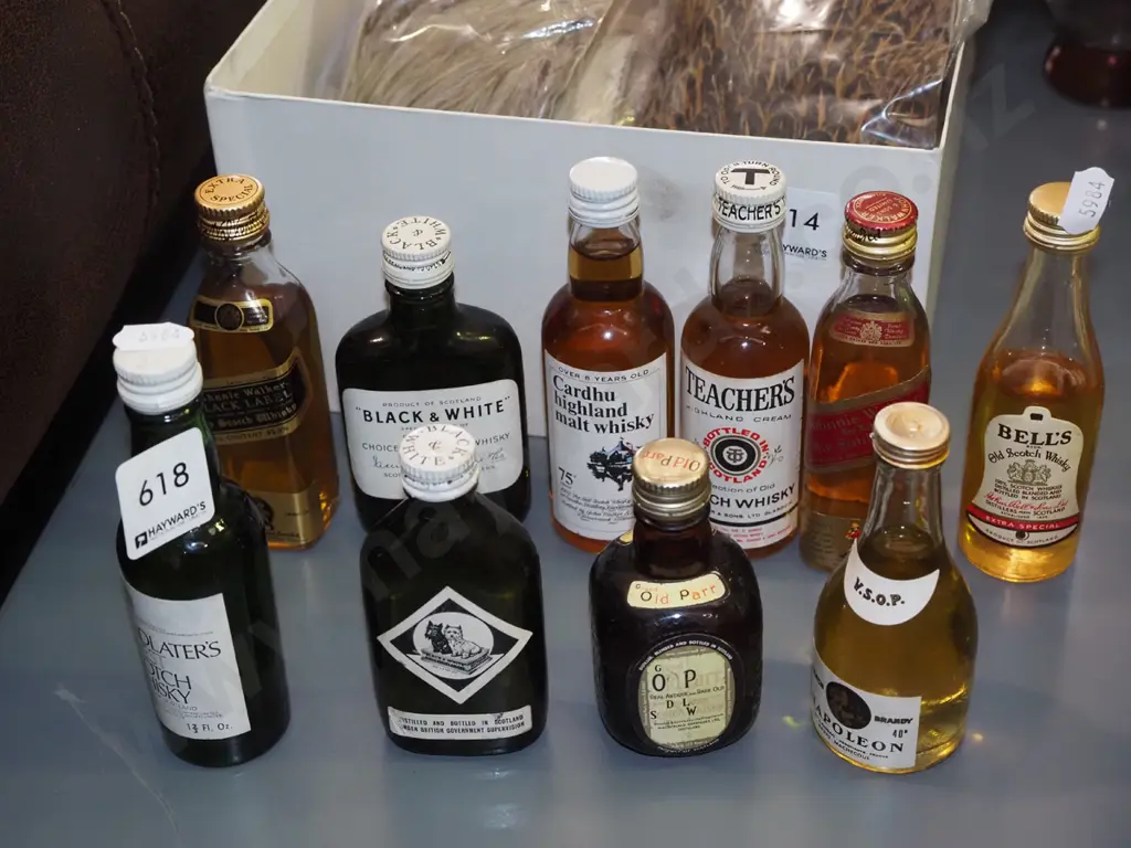 10x whisky spirit miniatures Image 1++