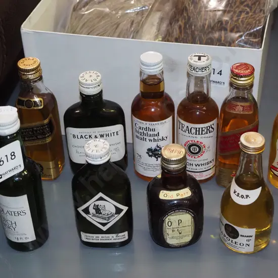 10x whisky spirit miniatures