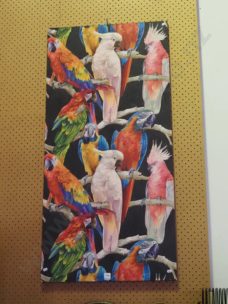 framed print on board - parrots Image 1++