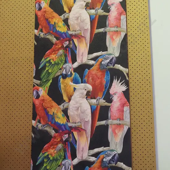 framed print on board - parrots