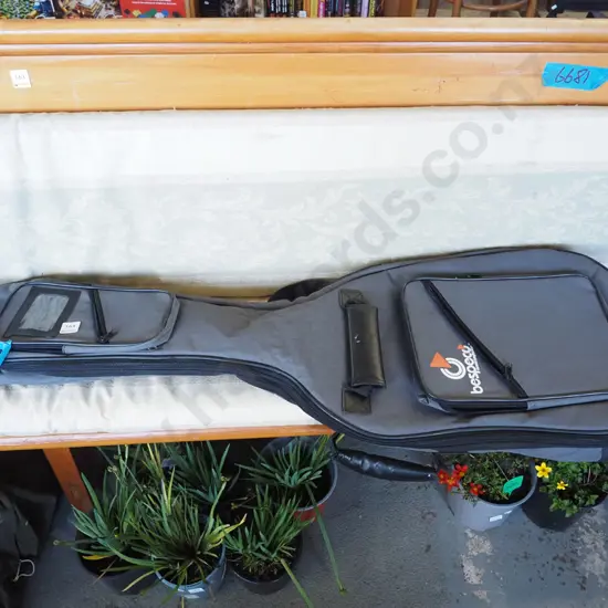 soft guitar case