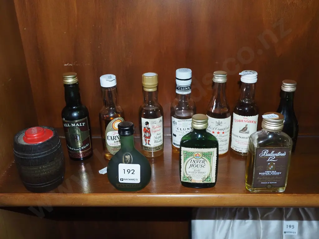 assorted spirit miniatures Image 1++