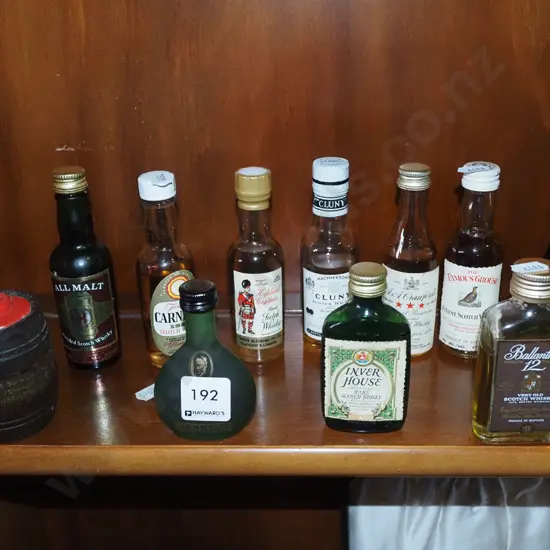 assorted spirit miniatures