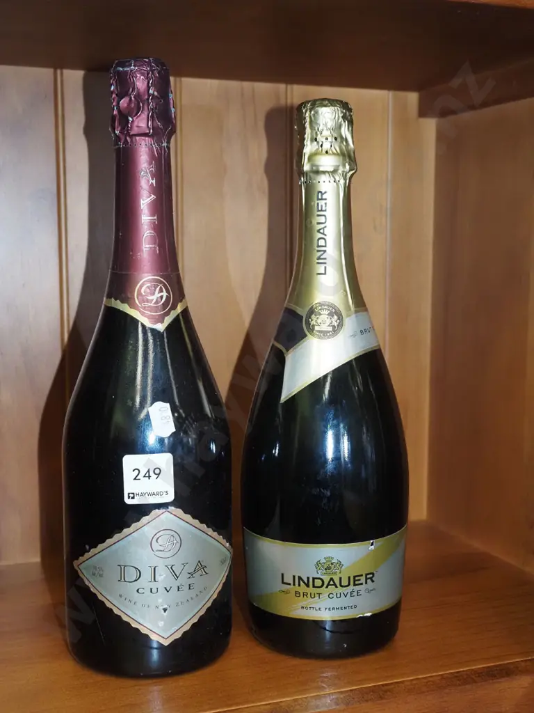 2x bottles of bubbly wine Image 1++
