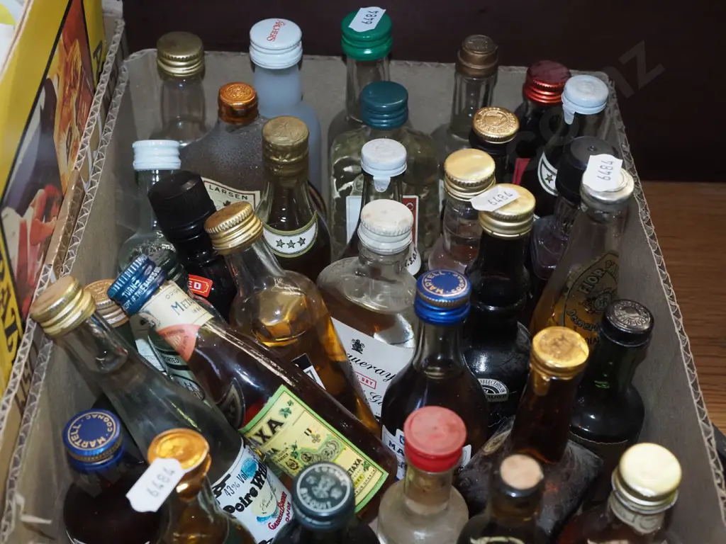 box of spirit miniatures Image 1++