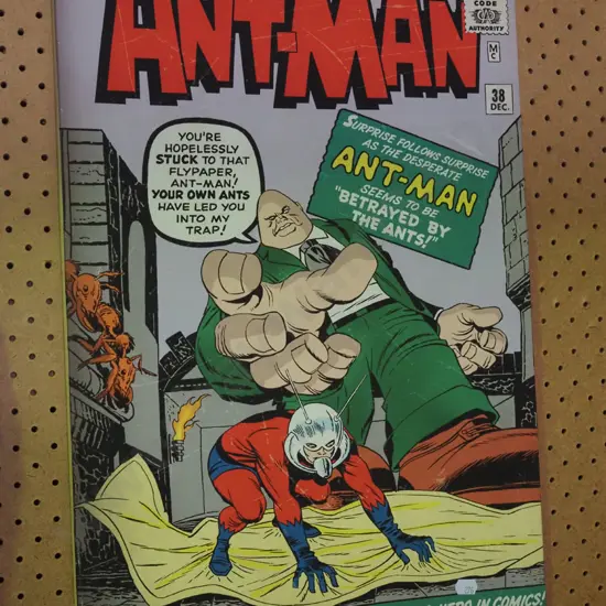 boxed Ant Man print on canvas