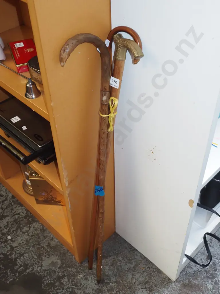 3x walking sticks Image 1++