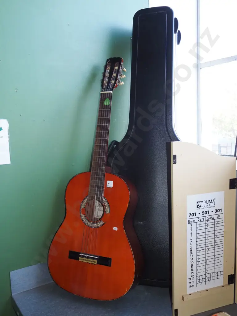 Maxtone acoustic guitar with hard travel case Image 1++