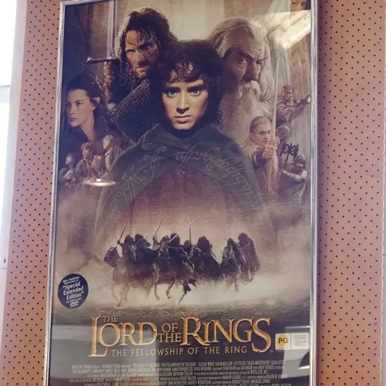 framed Fellowship of the Rings - Lord of the Rings promotional poster